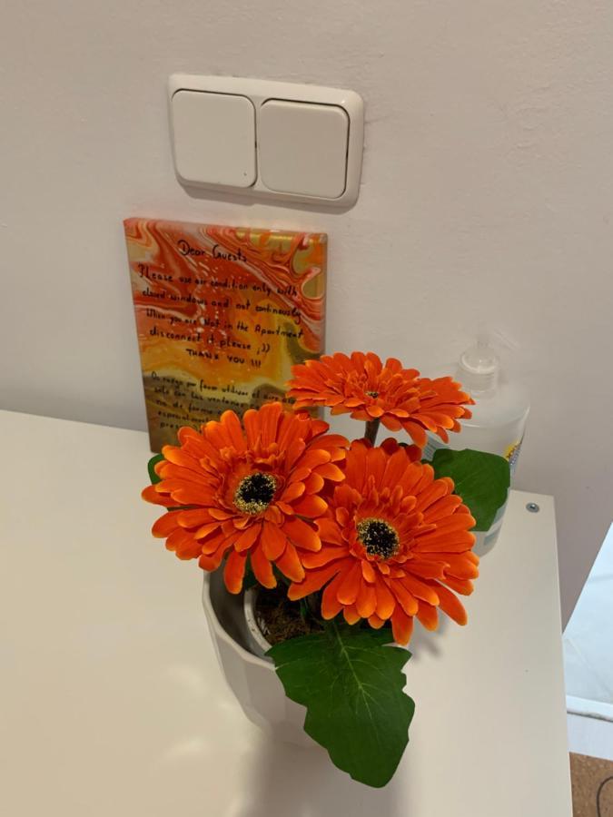 Balcon De אסטפונה מראה חיצוני תמונה
